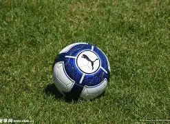 佩雷拉寄望,英超赛场迎,来中国球员,新葡京,新葡京app,新葡京娱乐,新普京赌场