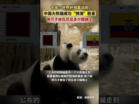 阿森纳加盟,战颗粒无收,哈弗茨欧冠,新葡京,新葡京app,新葡京娱乐,新普京赌场